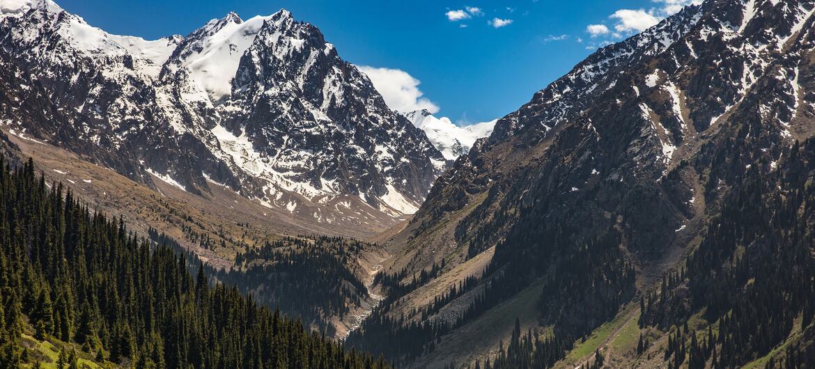 A scenic view of the Almaty Biosphere Reserve in Kazakhstan, featuring snow-capped mountains of the Zailiysky Alatau ridge, a valley with dense green forests, and a clear blue sky.