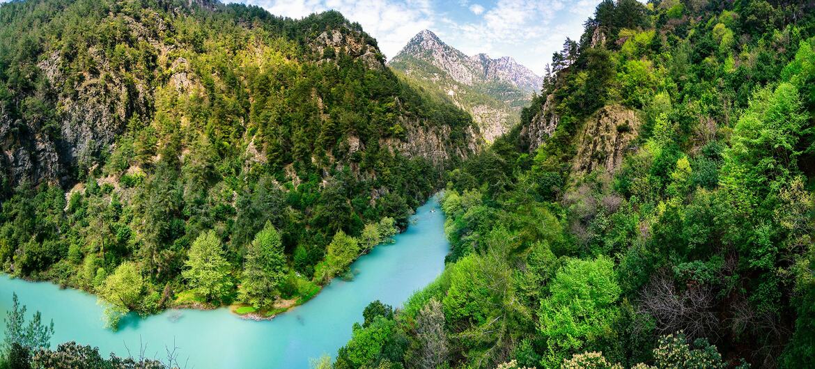 A scenic view of a turquoise river flowing through a lush green forested valley surrounded by mountains under a blue sky.