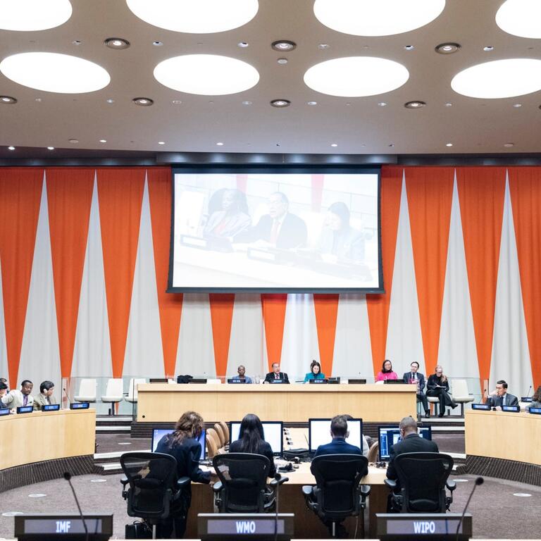 Maoni marefu ya chumba cha Baraza la Uchumi na Jamii la Umoja wa Mataifa (ECOSOC) wakati wa mkutano rasmi na wawakilishi walioketi kwenye dawati na mabango ya kimataifa kama vile Benki ya Dunia, IMF, WHO, WIPO, na IFAD.