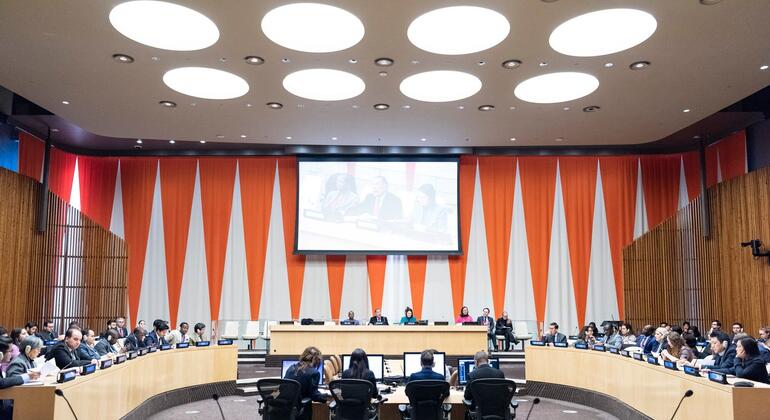 经济社会理事会举行选举