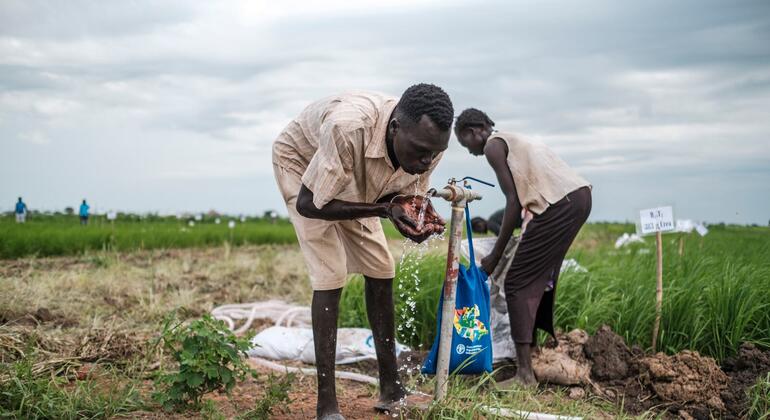 Два африканских фермера на зелёном поле. Один мужчина на переднем плане пьёт воду из ручного насоса, а женщина работает рядом с ним у синего мешка с логотипом ООН.