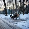 Una persona se sienta sola en un banco de madera en un parque urbano nevado durante el crepúsculo, rodeada de árboles desnudos y una pasarela pavimentada.