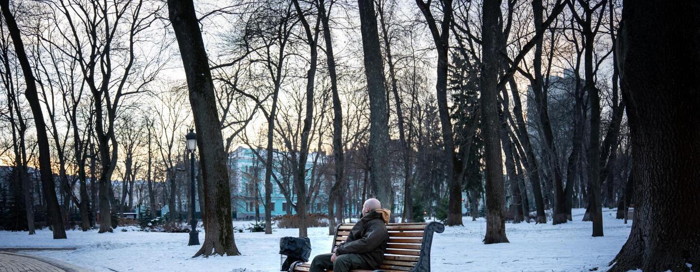 Una persona se sienta sola en un banco de madera en un parque urbano nevado durante el crepúsculo, rodeada de árboles desnudos y una pasarela pavimentada.