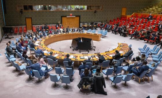 A wide view of the Security Council meeting.