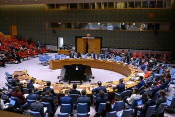 Una reunión formal del Consejo de Seguridad de las Naciones Unidas, con delegados sentados alrededor de una gran mesa circular, para discutir los asuntos internacionales relacionados con Somalia.