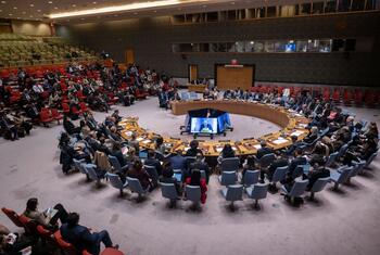 联合国安理会关于中东局势的会议,包括巴勒斯坦问题,