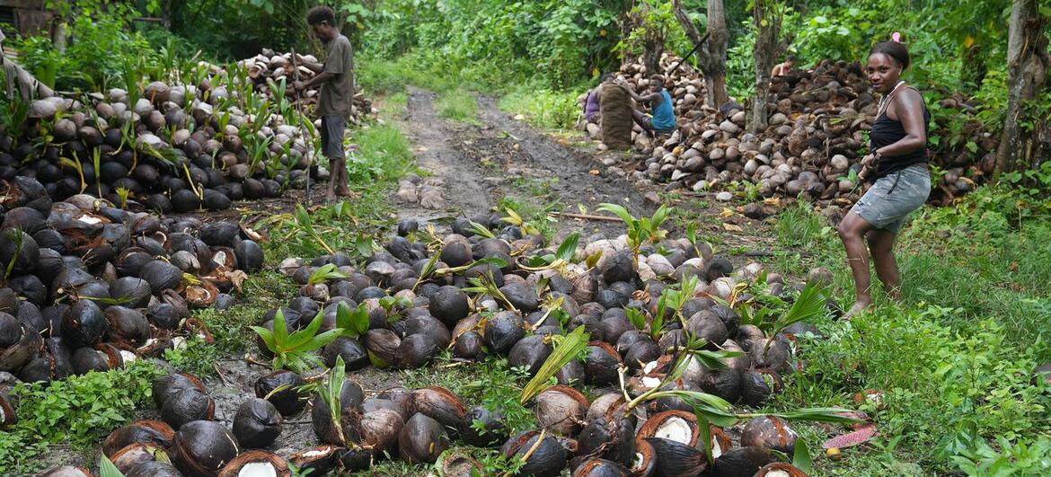 South Pacific islanders strive to rescue their home from toxic legacy