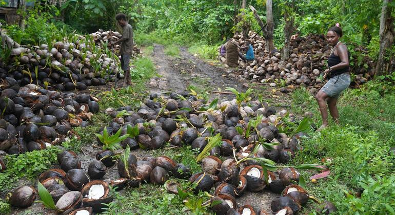 Warisan Berbahaya di Pulau Solomon: Lebih dari 80 Tahun Ranjau Darat Menghantui