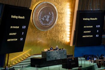 Résultats du vote à l'Assemblée générale des Nations unies sur la résolution déclarant la traite des Africains réduits en esclavage et l'esclavage racialisé des Africains comme le plus grave crime contre l'humanité a été adoptée par 123 voix en faveur, l'Argentine, Israël et les États-Unis ont voté contre et 52 États membres se sont abstenus.