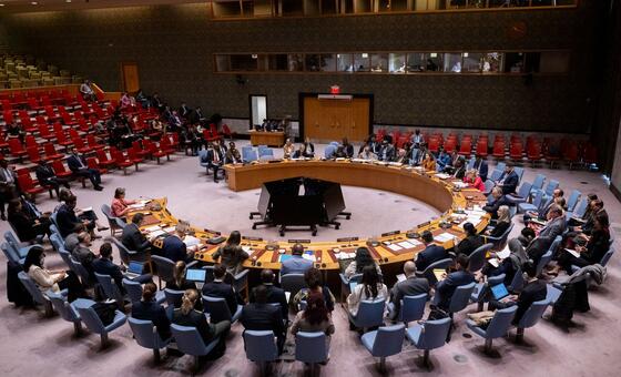 برئاسة البحرين، مجلس الأمن يبحث التعاون مع مجلس التعاون الخليجي