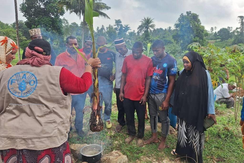 Wafanyakazi wa FAO nchini Tanzania wakionyesha matibabu ya maji ya moto kwa mimea ya ndizi kwa kikundi cha wakulima wa eneo hilo huko Pemba.