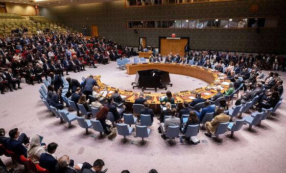 Security Council LIVE: Founding principles of the UN facing ‘profound strain’, Guterres warns