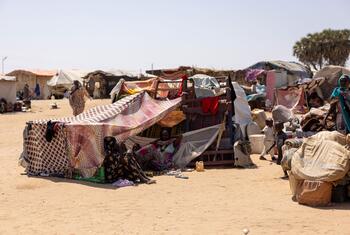 Las familias desplazadas viven en refugios temporales en el sitio de desplazados de Goz Alsalam en Sudán. Mujeres y niños se sientan fuera de una tienda de campaña improvisada hecha de tela estampada, mientras que otros caminan por el campamento de arena.