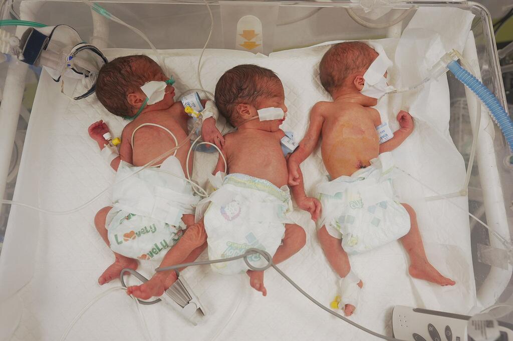 Tres recién nacidos prematuros se encuentran en una única incubadora en el Hospital Materno Al-Helal Al-Emirati en Rafah, Gaza, destacando el grave hacinamiento y la escasez de recursos médicos en la unidad.