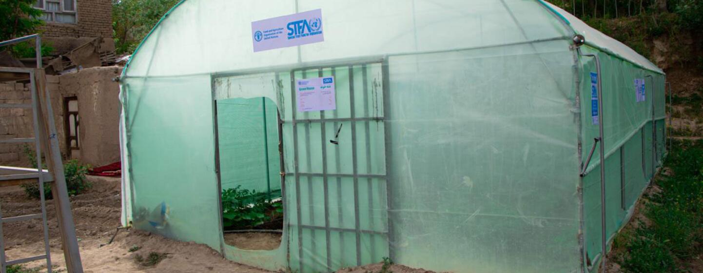 अफगानिस्तान के लोगर प्रांत के पुल-ए-अलाम जिले के होनी सैदान गांव में एक सूक्ष्म ग्रीनहाउस विधवाओं को भोजन उगाने और खेती के माध्यम से आय अर्जित करने में मदद करता है। महिलाओं को खीर और मीठा कैप्सिकम जैसी फसलों की खेती के लिए बीज और प्रशिक्षण प्राप्त हुआ।