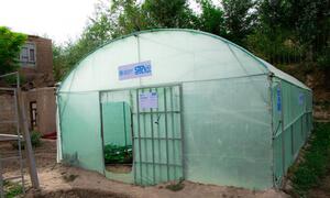 अफगानिस्तान के लोगर प्रांत के पुल-ए-अलाम जिले के होनी सैदान गांव में एक सूक्ष्म ग्रीनहाउस विधवाओं को भोजन उगाने और खेती के माध्यम से आय अर्जित करने में मदद करता है। महिलाओं को खीर और मीठा कैप्सिकम जैसी फसलों की खेती के लिए बीज और प्रशिक्षण प्राप्त हुआ।