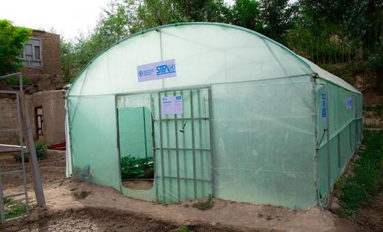 अफगानिस्तान के लोगर प्रांत के पुल-ए-अलाम जिले के होनी सैदान गांव में एक सूक्ष्म ग्रीनहाउस विधवाओं को भोजन उगाने और खेती के माध्यम से आय अर्जित करने में मदद करता है। महिलाओं को खीर और मीठा कैप्सिकम जैसी फसलों की खेती के लिए बीज और प्रशिक्षण प्राप्त हुआ।