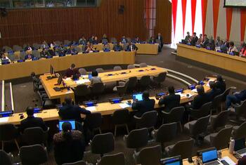 Delegates seated at a large conference table during a United Nations Economic and Social Council (ECOSOC) meeting.