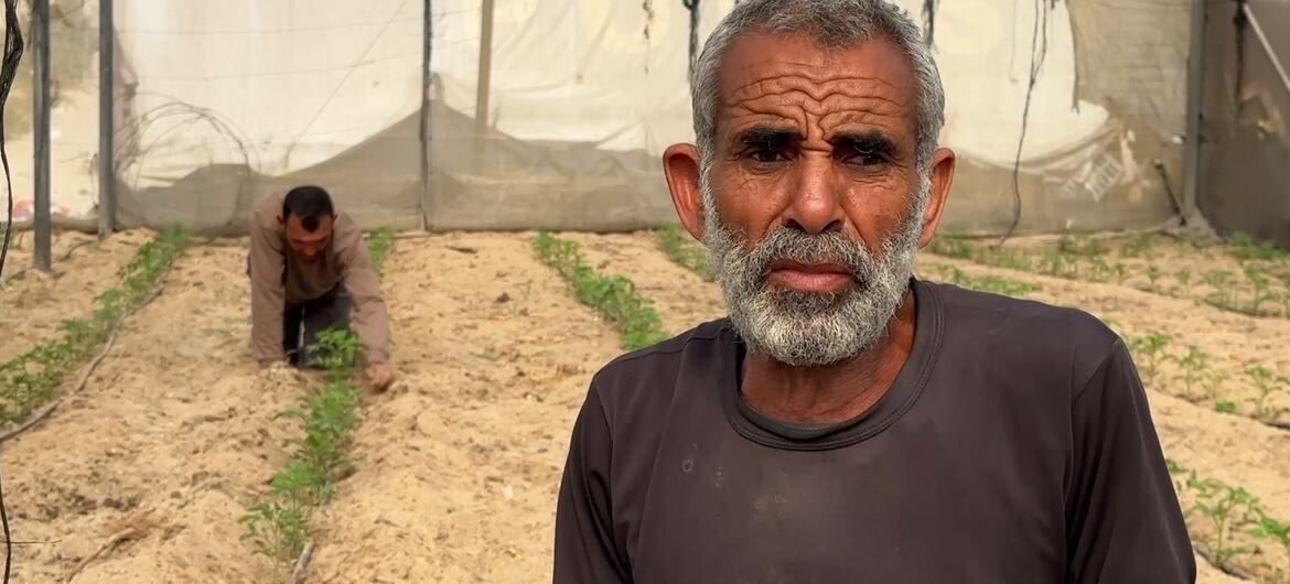 A farm in Khan Younis, talks about the mounting hardships farmers have endured after three years of war.