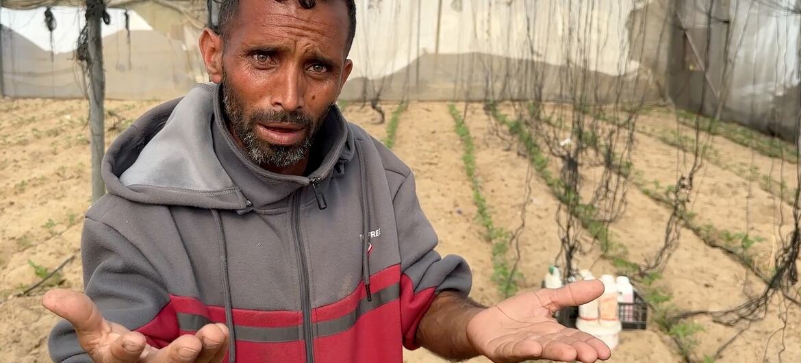 29-04-2026_UNNews_Gaza_Framing_04 (AZ3Z1MmhM1vupghsTawO)