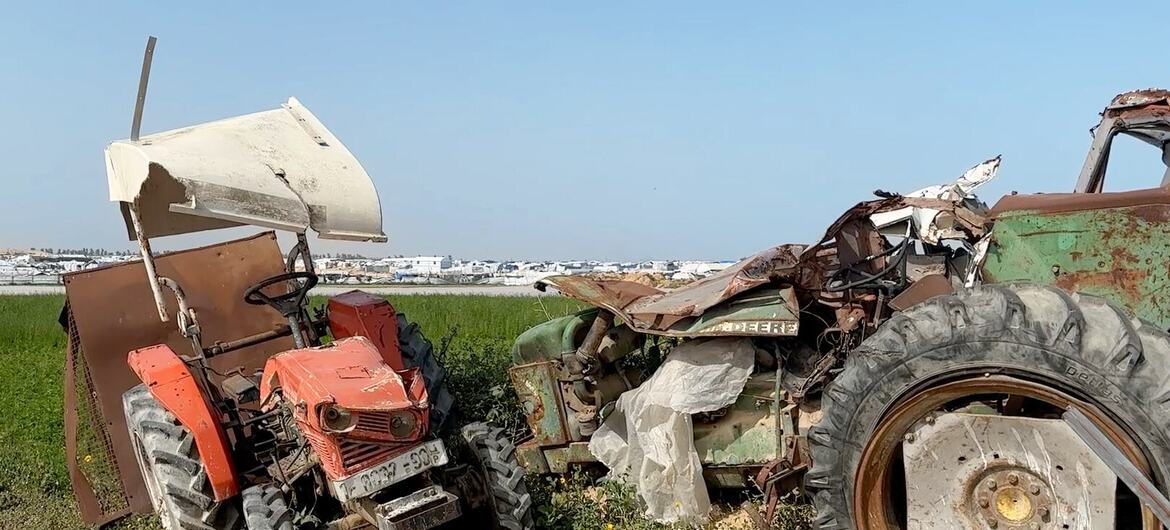اثنتان من الجرارات المتضررتين متروكتان في حقل في غزة، مما يوضح تدمير المعدات الزراعية بسبب الحرب، مما يجبر المزارعين على العمل اليدوي.