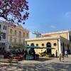 Um dia ensolarado em uma histórica praça de mercado em Florianópolis, Brasil, com edifícios de estilo colonial, um mercado ao ar livre com telhados verdes e uma árvore com flores cor-de-rosa vibrantes.