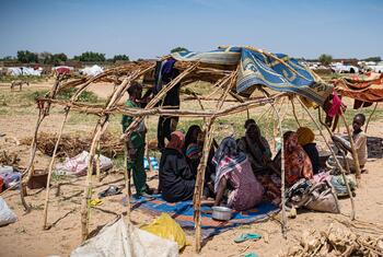 由于苏丹冲突而流离失所的人聚集在得阿德里·伊斯萨哈哈鲁恩 (Adre Issakha Haroun) 的临时避难所.