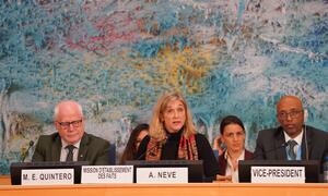 Un panel de oradores en una reunión del Consejo de Derechos Humanos. Una mujer con cabello rubio habla en un micrófono. A su izquierda está un hombre con gafas y a su derecha un hombre negro con gafas. Las placas de nombre identifican 'M. E. QUINTERO', 'A. NEVE' y 'VICE-PRESIDENTE'.