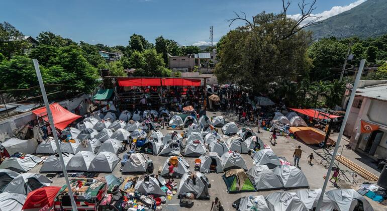 media:entermedia_image:d940b4f6-0a0b-4cc8-a1e0-f0e9d359a1dd