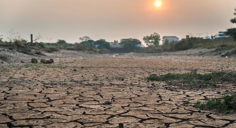 Terra seca e rachada em uma área rural do Camboja sob um sol escaldante.