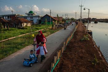 عائلة تمشي على طول جدار احتياطي تم بناؤه لمنع فيضانات المد في مقاطعة جاوة الوسطى، إندونيسيا.