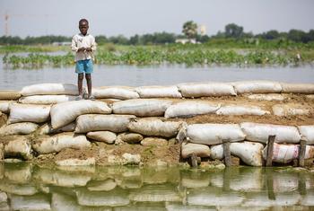 Un garçon se tient sur une digue de sacs de sable dans une zone inondée à N'Djamena, au Tchad.