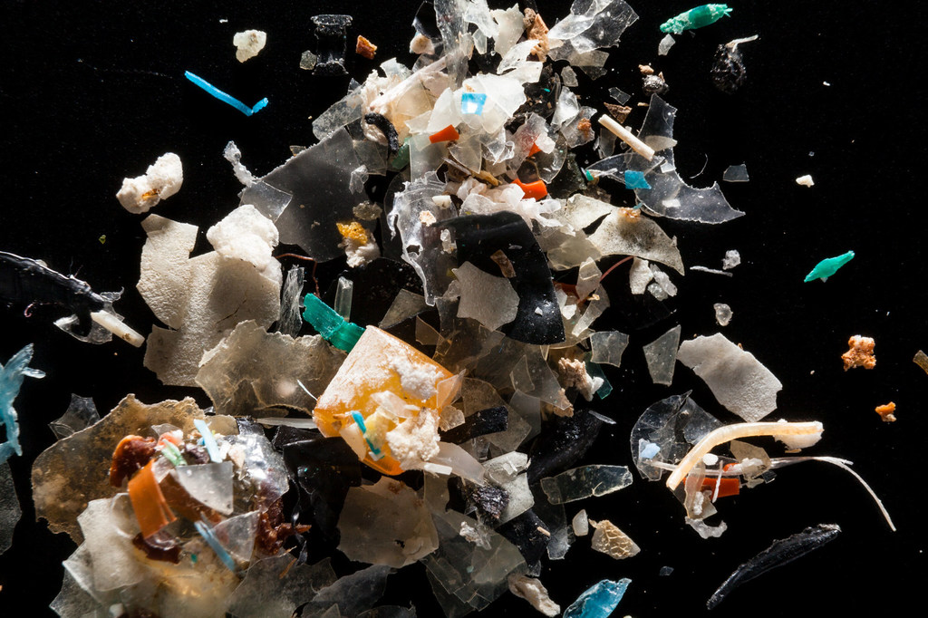 Des microplastiques provenant de la rivière Rhode sont photographiés dans un laboratoire aux États-Unis.