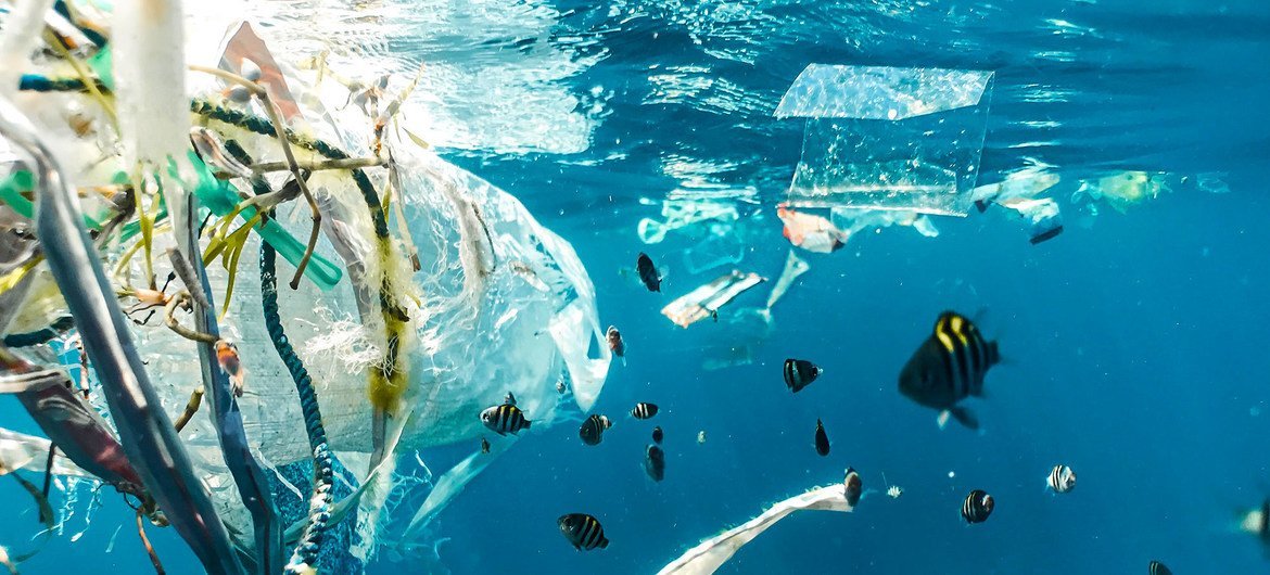 Detritos marinhos, incluindo plásticos, papel, madeira, metal e outros materiais manufaturados são encontrados em praias de todo o mundo e em todas as profundezas do oceano