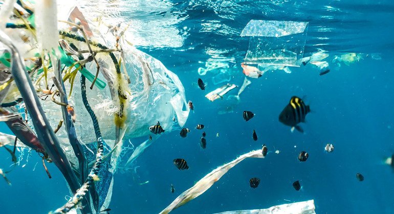 Detritos marinhos, incluindo plásticos, papel, madeira, metal e outros materiais manufaturados são encontrados em praias de todo o mundo e em todas as profundezas do oceano