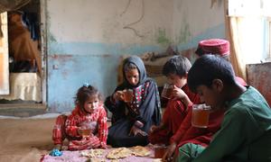 Food rations for vulnerable families in Afghanistan are to be cut by the World Food Programme.