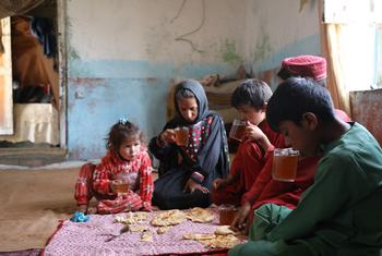 سيقوم برنامج الأغذية العالمي بقطع الحصص الغذائية للأسر الضعيفة في أفغانستان.