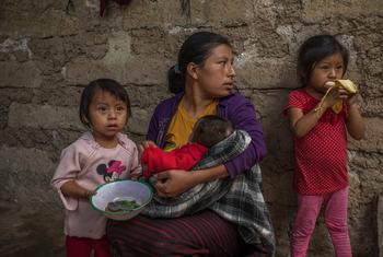 गुआटेमाला ऐसे देशों में है जहाँ, कुपोषण के शिकार बच्चों की संख्या, दुनिया भर में सर्वाधिक है.