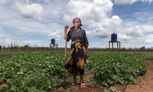 A farmer works in a women's community garden in Androy region, Madagascar.