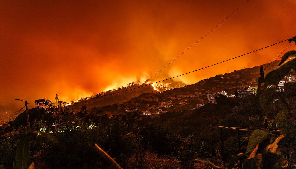 Floresta ardendo no Estreito da Calheta, Portugal