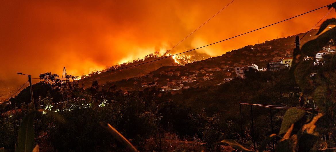 Incêndio florestal no Estreito da Calheta, em Portugal