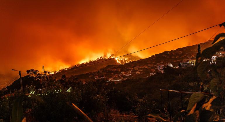 Uma floresta arde no Estreito da Calheta, em Portugal.