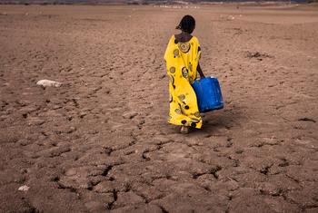 Uma menina caminha com um recipiente de água na região de Afar, na Etiópia
