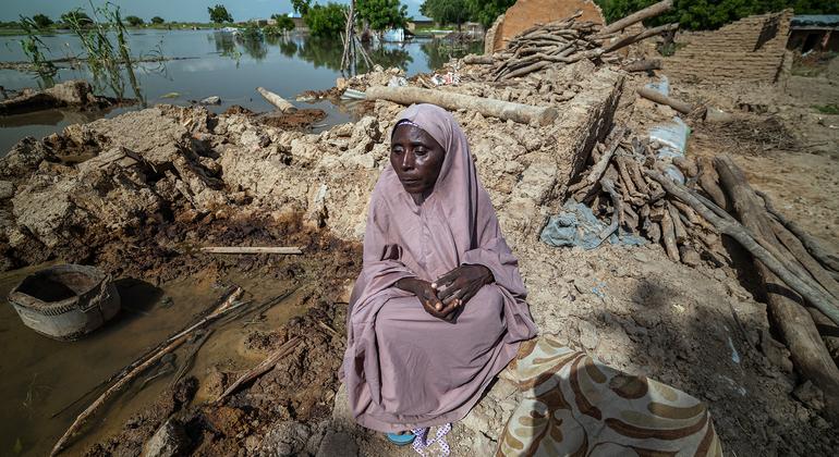 Nijerya'nın Yobe eyaletinde selden etkilenen bir kadın yakacak odun topluyor.