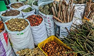 Communities and families in the Western Pacific Region use traditional and complementary medicine extensively for a variety of health problems, from minor ailments to life-threatening diseases.