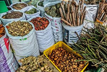 Con el rechazo de los Estados Unidos y Argentina, el resto de líderes mundiales adoptan una declaración histórica sobre salud | Noticias ONU - Image 2