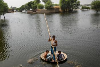 在巴基斯坦信德省，男孩们用一个大平底锅作为临时筏子趟过洪水。