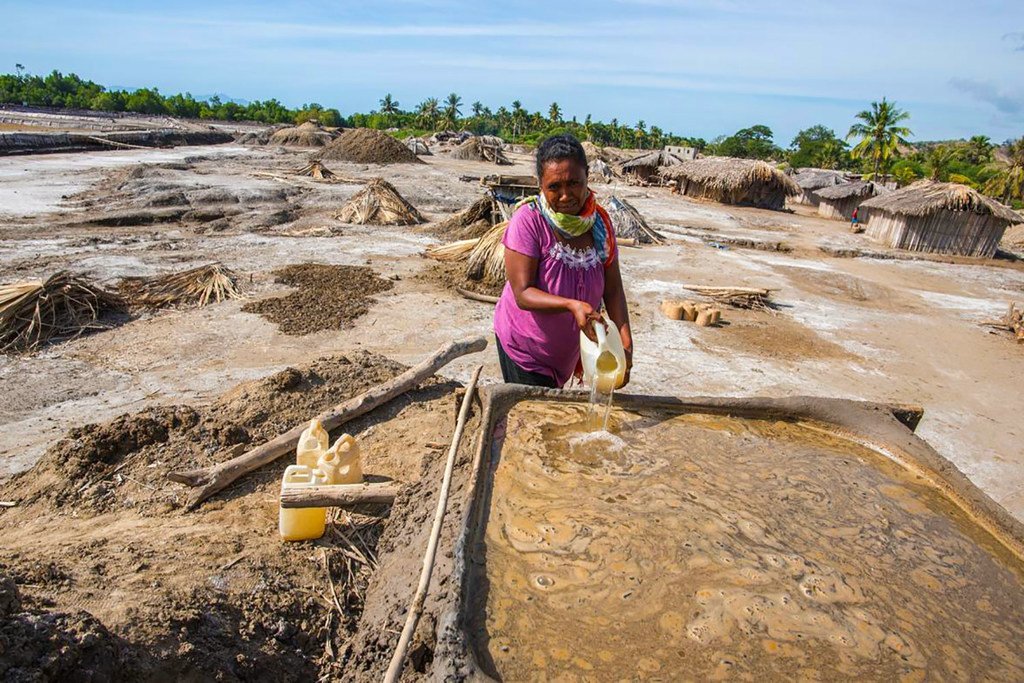 Une femme récolte du sel dans une mangrove au Timor-Leste.
