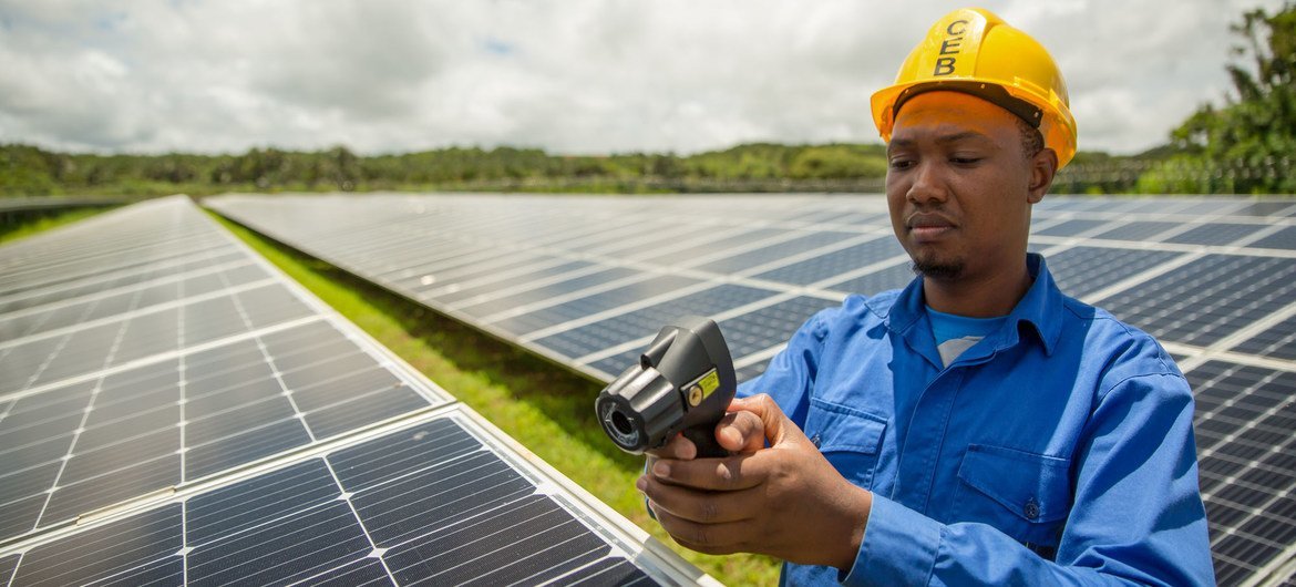 Des panneaux solaires sont entretenus dans une ferme de l'île Maurice.
