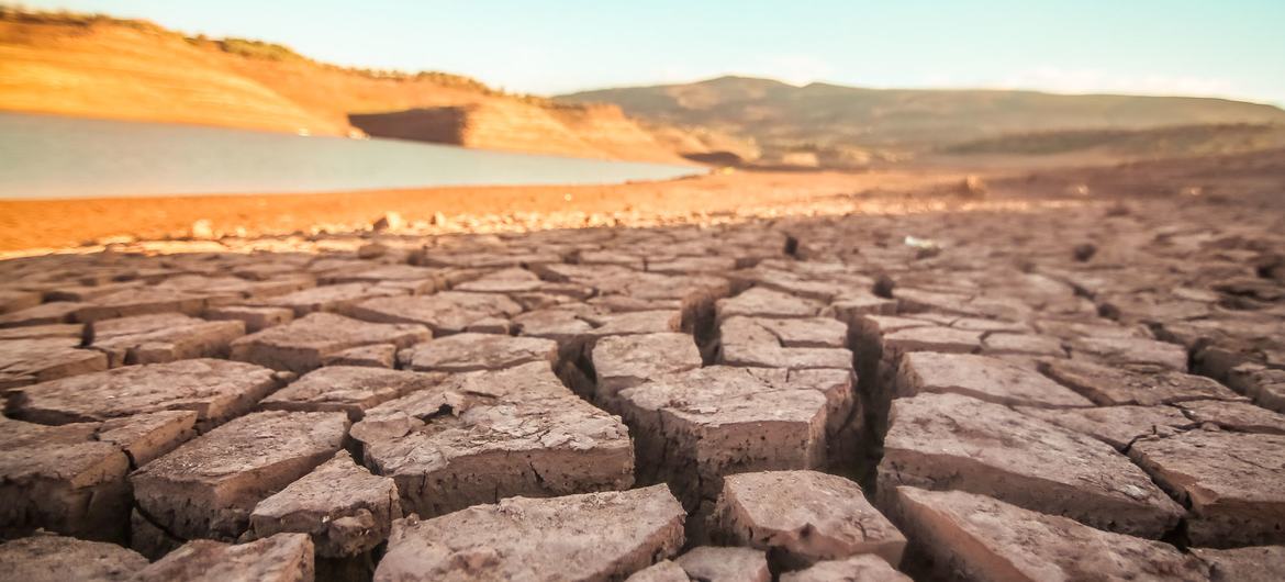 Las sequías afectan drásticamente a la disponibilidad de agua para las comunidades vulnerables. 